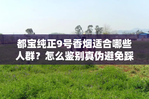 都宝纯正9号香烟适合哪些人群？怎么鉴别真伪避免踩坑？